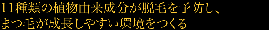 11種類の植物由来成分が脱毛を予防し、まつ毛が成長しやすい環境をつくる