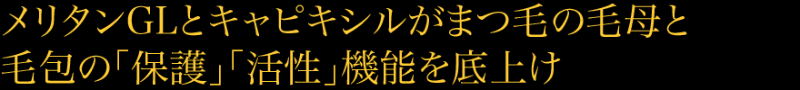 メリタンGLとキャピキシルがまつ毛の毛母と毛包の「保護」「活性」機能を底上げ